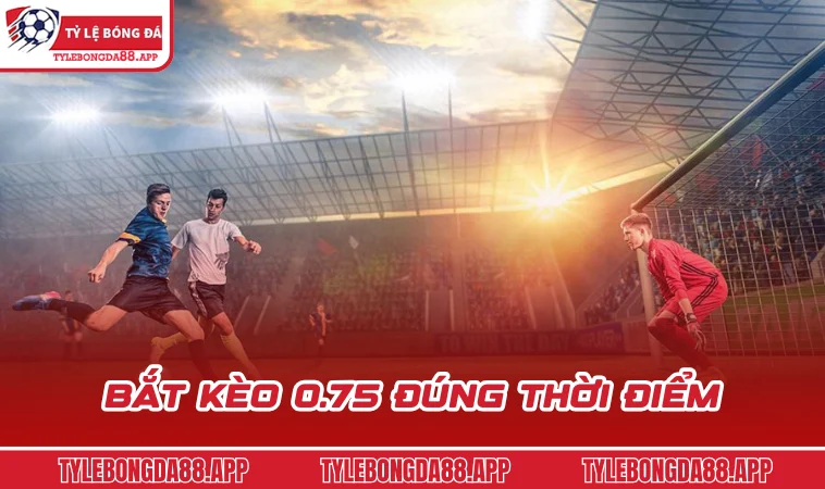 bat keo 0 75 dung thoi diem Bắt kèo 0.75 đúng thời điểm