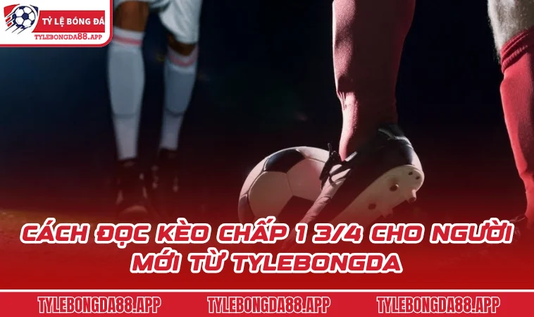 cach doc keo chap 1 3 4 cho nguoi moi tu tylebongda Cách đọc kèo chấp 1 3/4 cho người mới từ Tylebongda