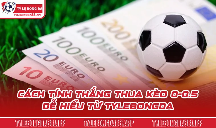 cach tinh thang thua keo 0 0 5 de hieu tu tylebongda Cách tính thắng thua kèo 0-0.5 dễ hiểu từ Tylebongda