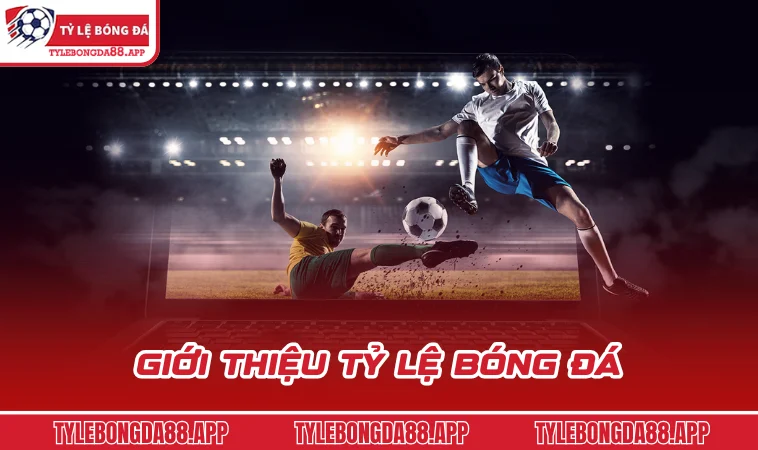 gioi thieu ty le bong da Giới thiệu Tỷ Lệ Bóng Đá