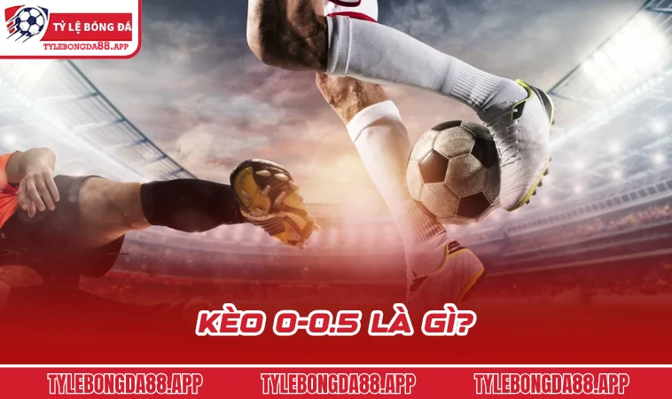 keo 0 0 5 la gi tyle bongda Kèo 0-0.5 là gì?