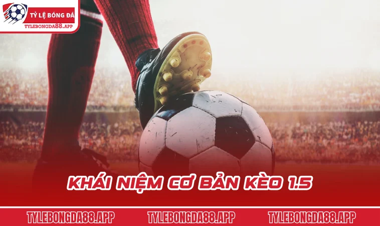 khai niem co ban keo 1 5 Khái niệm cơ bản kèo 1.5