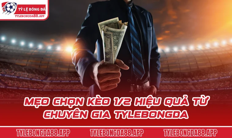 meo chon keo 1 2 hieu qua tu chuyen gia tylebongda Mẹo chọn kèo 1/2 hiệu quả từ chuyên gia Tylebongda