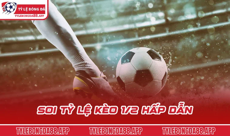 soi ty le keo 1 2 hap dan Soi tỷ lệ kèo 1/2 hấp dẫn