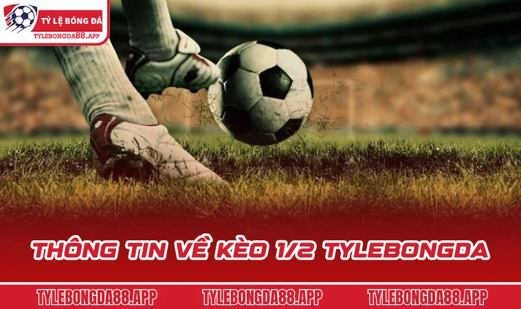 thong tin ve keo 1 2 tylebongda Thông tin về kèo 1/2 tylebongda
