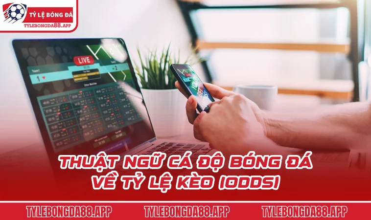 Thuật ngữ cá độ bóng đá về tỷ lệ kèo (Odds)