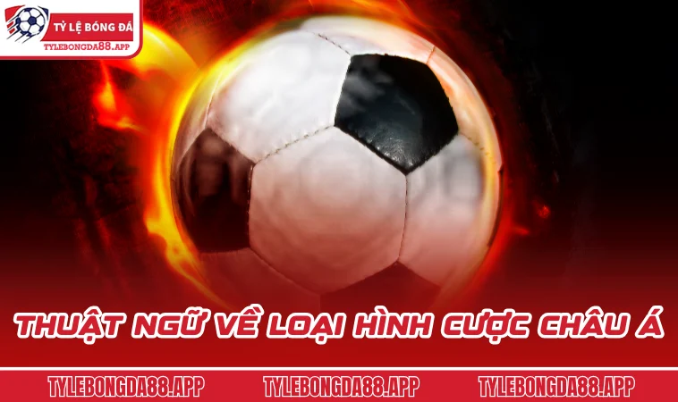 Thuật ngữ về loại hình cược châu Á