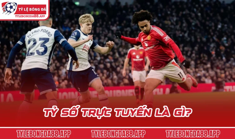 ty so truc tuyen la gi Tỷ số trực tuyến là gì?